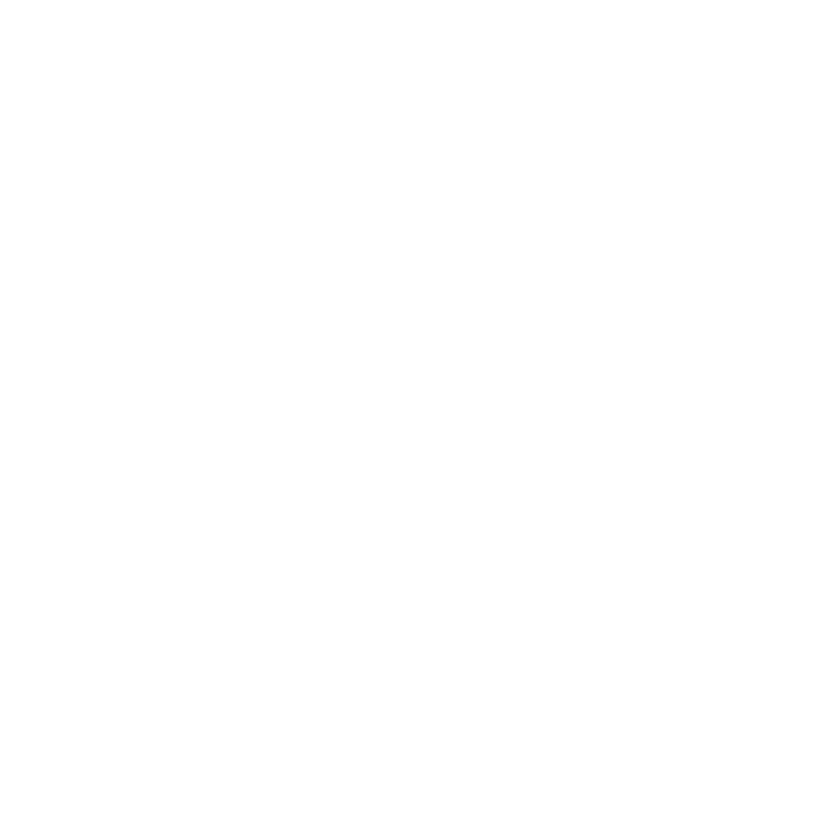 Andina Cerveza