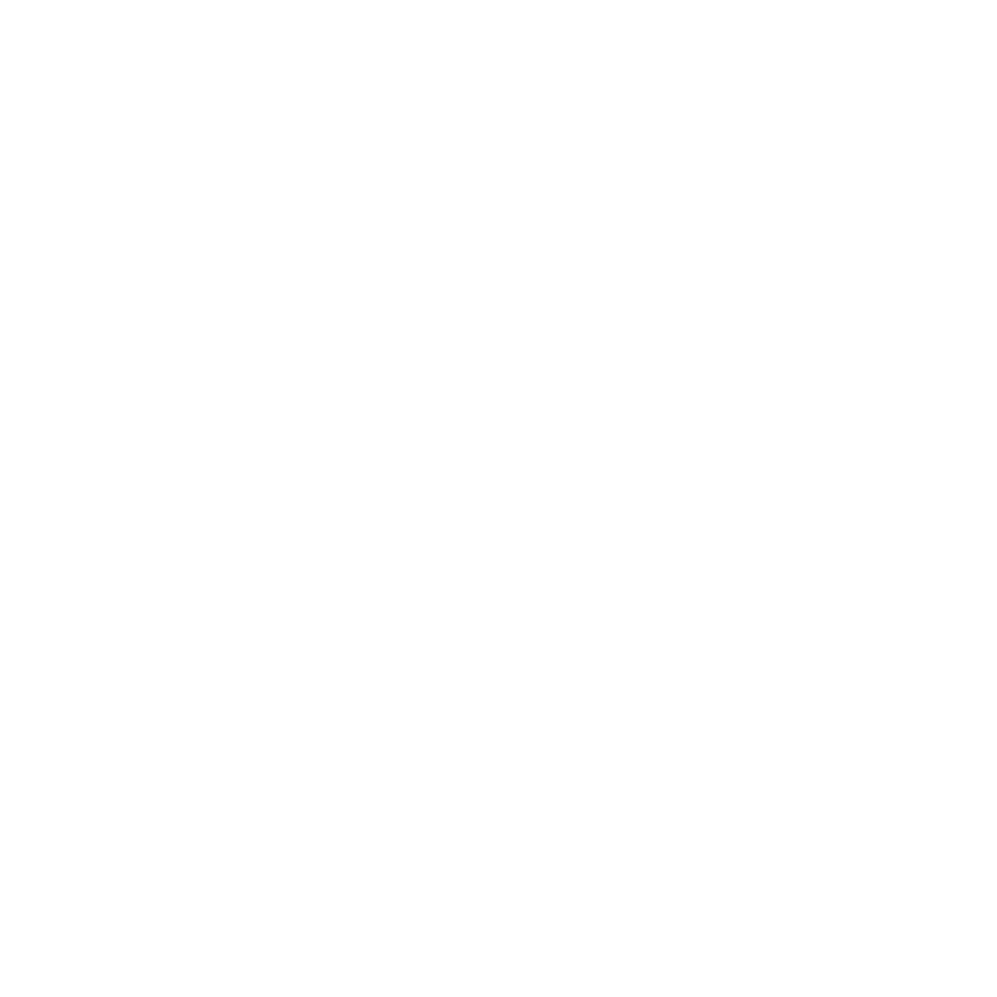Heineken cerveza